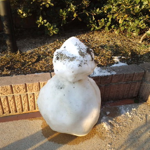 雪だるま日誌