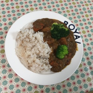 大根おろしのカレー