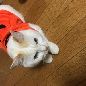 一足先にハロウィン気分