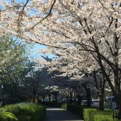 中学生になりました！