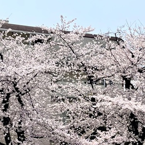 今月もよろしくお願いします