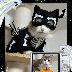 今月もありがとうございました